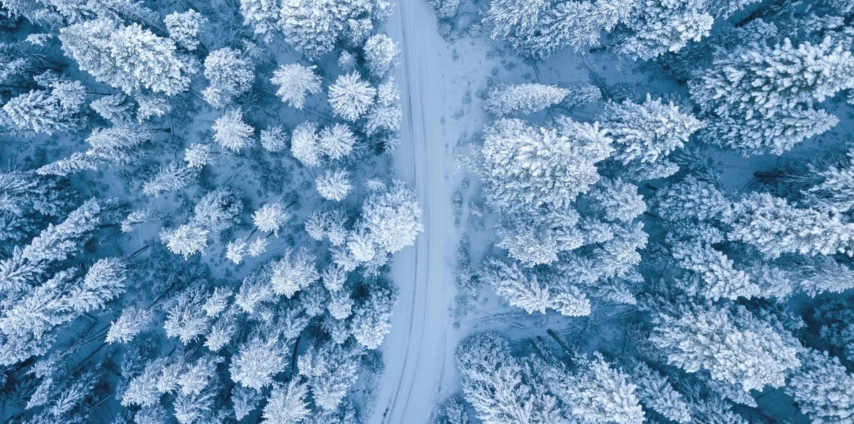 Uzņēmumu sentiments, 2024. gada 4. ceturksnis